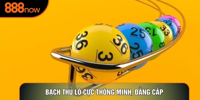 Bạch thủ lô cực thông minh, đẳng cấp