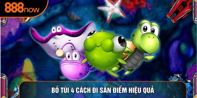 Bỏ túi 4 cách đi săn điểm hiệu quả
