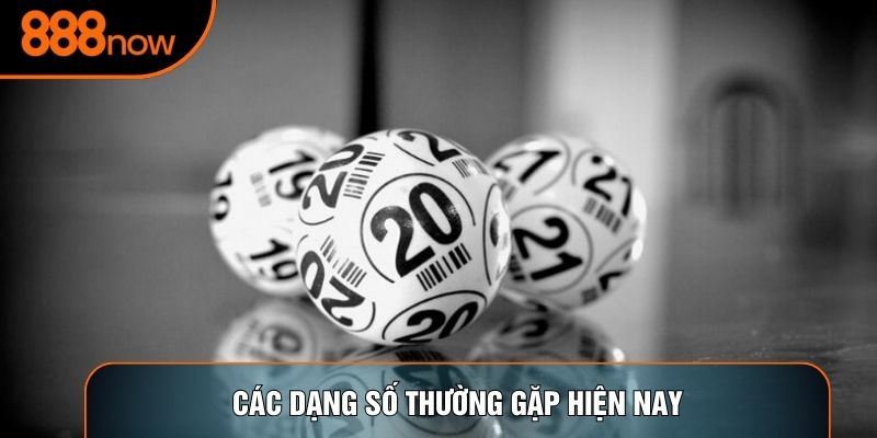Các dạng số thường gặp hiện nay
