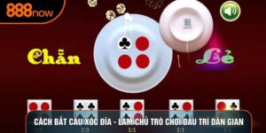 Cách Bắt Cầu Xóc Đĩa - Làm Chủ Trò Chơi Đấu Trí Dân Gian