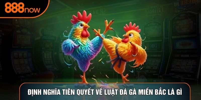 Định nghĩa tiên quyết về luật đá gà miền Bắc là gì