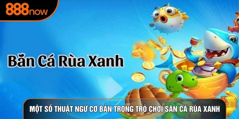 Một số thuật ngữ cơ bản trong trò chơi săn cá rùa xanh