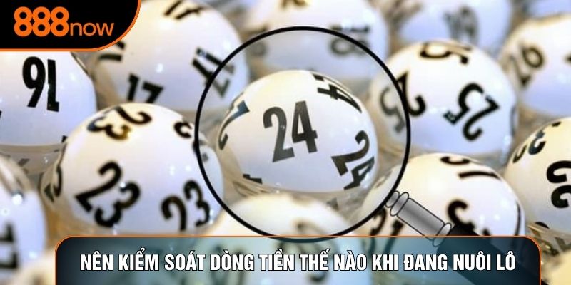 Nên kiểm soát dòng tiền thế nào khi đang nuôi lô