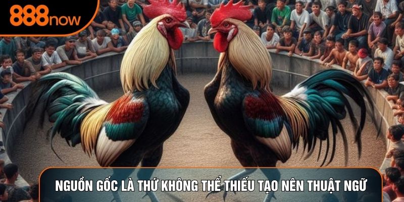 Nguồn gốc là thứ không thể thiếu tạo nên thuật ngữ