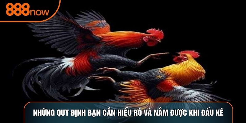 Những quy định bạn cần hiểu rõ và nắm được khi đấu kê