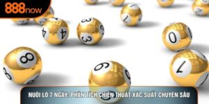 Nuôi Lô 7 Ngày: Phân Tích Chiến Thuật Xác Suất Chuyên Sâu
