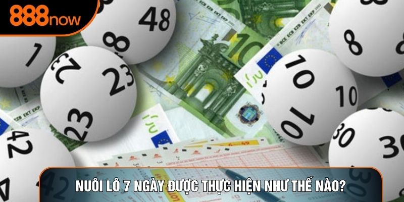Nuôi lô 7 ngày được thực hiện như thế nào?
