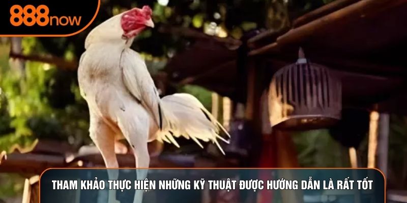 Tham khảo thực hiện những kỹ thuật được hướng dẫn là rất tốt